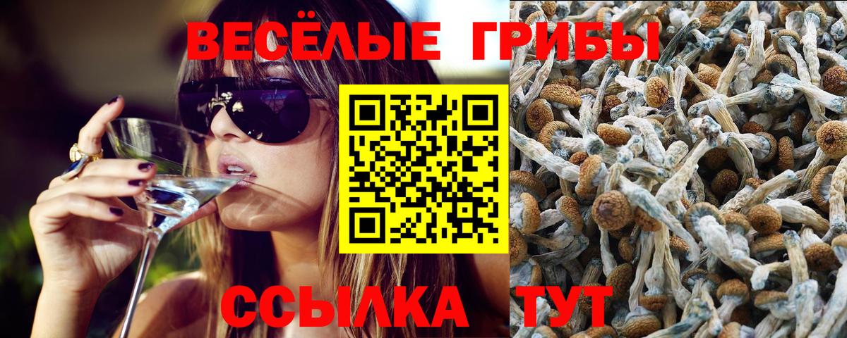 Галлюциногенные грибы Magic Shrooms  Галлюциногенные грибы Psilocybe  Вход с VPN  Реутов 