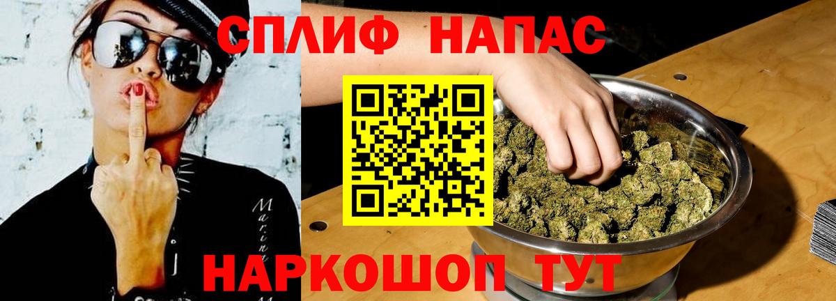 Бошки Шишки VHQ Реутов